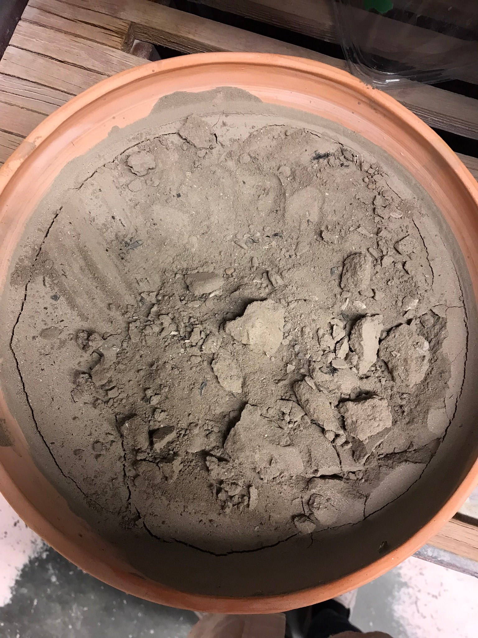Ash drying in bisqued bowl